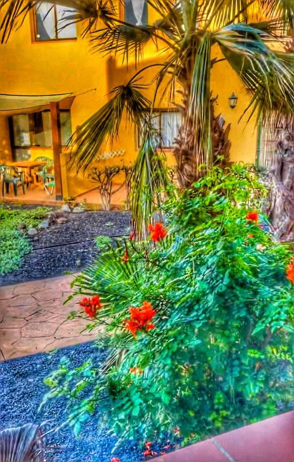 Paradise House Corralejo Dış mekan fotoğraf